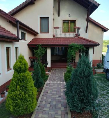 Baile Felix House | Casa Doina
