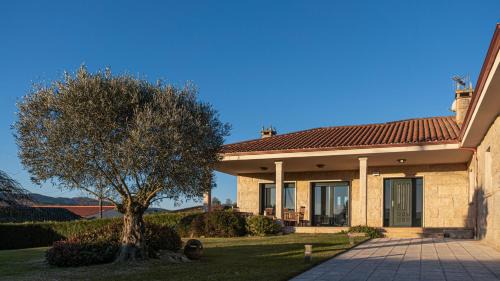 Cartelle House | Casa dos olivos