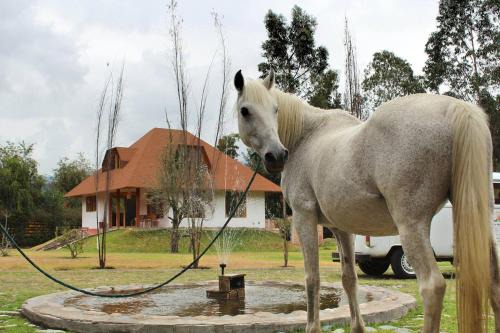 San Pablo del Lago House | Casa Ecológica Al Pie Del Volcán