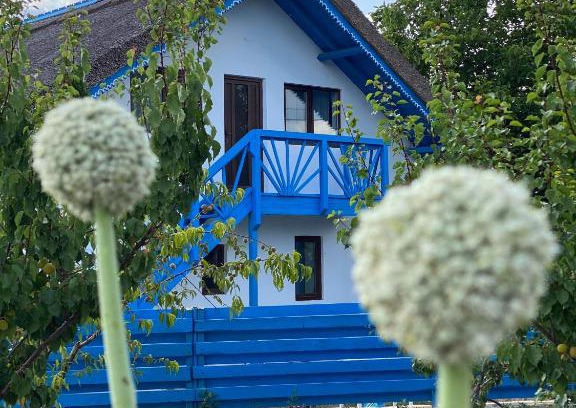 Enisala House | Casa Enisala