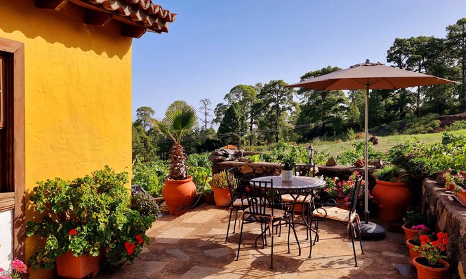 Puntagorda Cottage | Casa Federico, surrounded by pine forests and vineyards in Puntagorda, island of La Palma