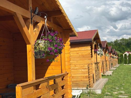 Cartisoara Cabin | Casa Fericirii