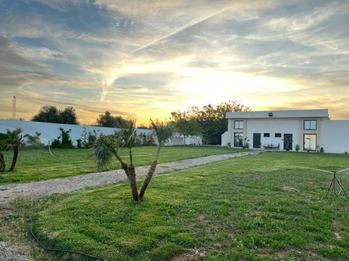 Tazerka House | CASA FIRMA