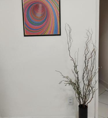 Salvador House | Casa Florescer