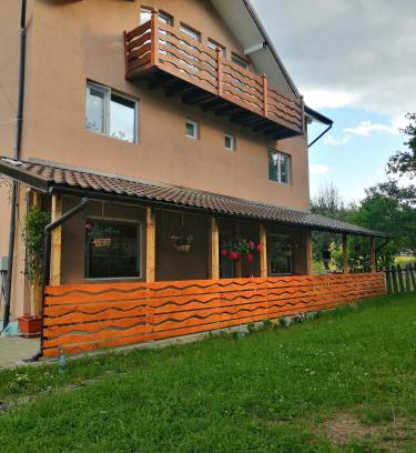 Neagra Sarului House | Casa Gramy
