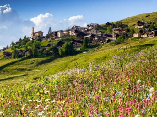 Saint-Veran Apartment | Casa-La Carotto Appartement pour 6 dans chalet