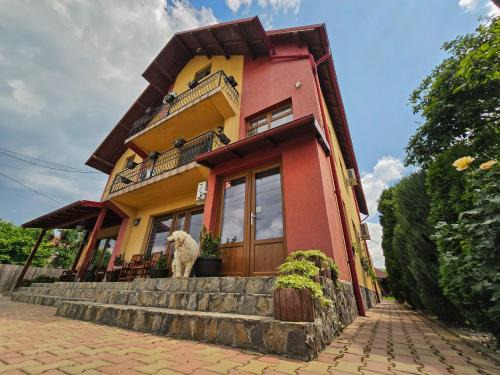 Albestii Paminteni House | Casa Leu