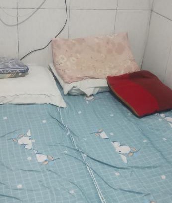 Iapi House | Casa LF