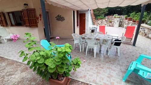 Sas Linnas Siccas House | Casa LINNAS SICCAS