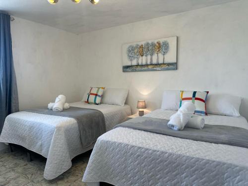 Zona 12 House | Casa Lirios