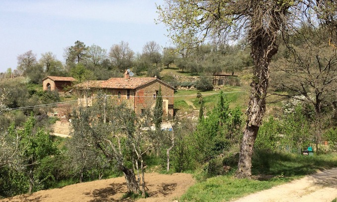 Panicale Other | CASA LORENZO ~ WHOLE FARMHOUSE with stunning large Roman pool set in olive grove