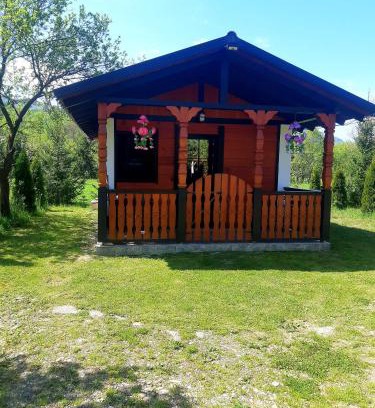 Sapinta Cabin | Casa Lucean