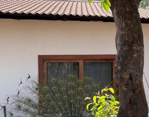 Cuautepec Other | Casa Magdalena