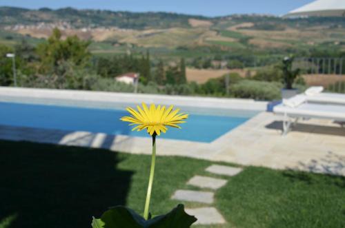 Morrona Apartment | Casa Magnolia