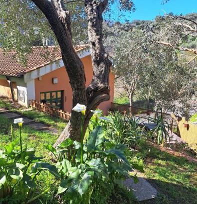 Celle Ligure House | Casa Mar'Cellina - Tenuta Calano