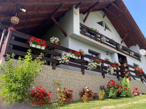Piatra Fantanele House | Casa Maria
