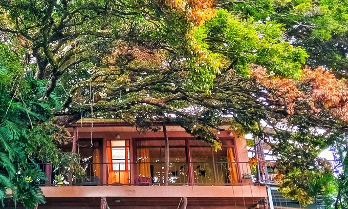 Sierra House | Casa Mariposa Cottage Located a Coffee Farm