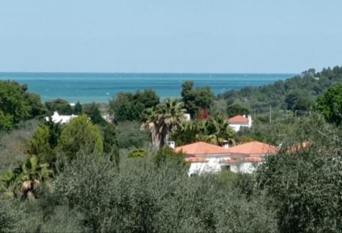 Vico del Gargano Apartment | Casa Masseria Le Ville