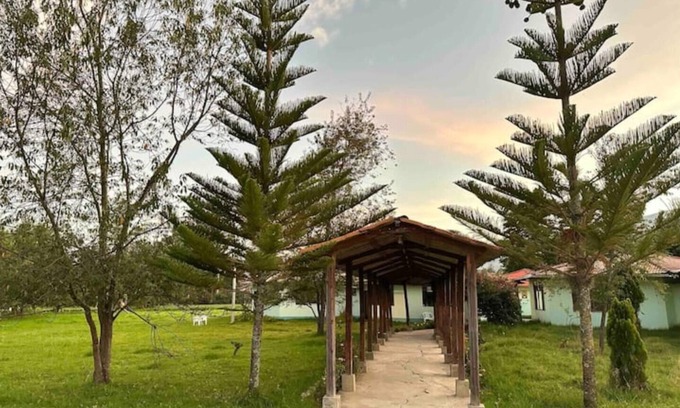 Cajamarca House | Casa MER/
