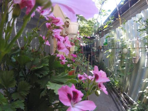 Constanta House | Casa MILLY Constanta
