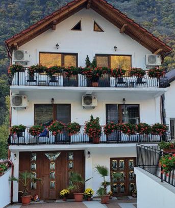 Baile Herculane House | Casa Mimi