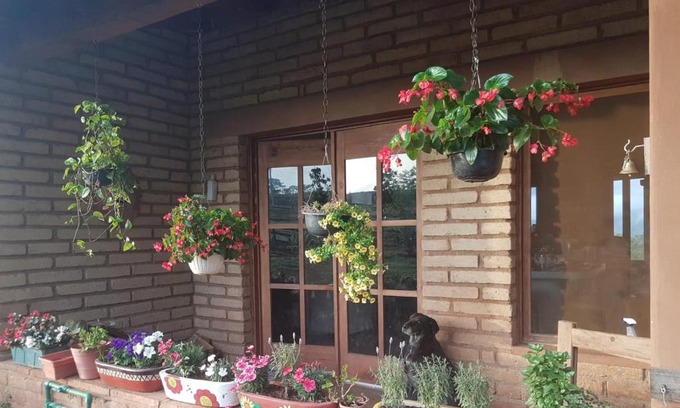 Mascota House | Casa Moonbeam