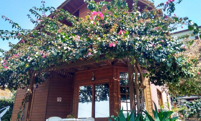 Centro House | Casa na Ilha da Magia