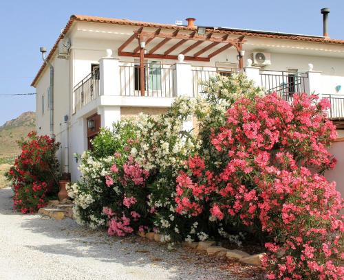 Oria Bed & Breakfast | Casa Nuestro Sueño