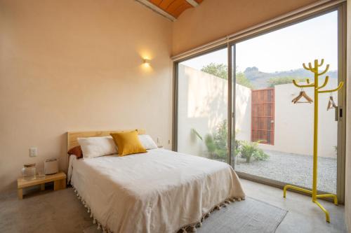 Santa Cecilia House | Casa Oma 04