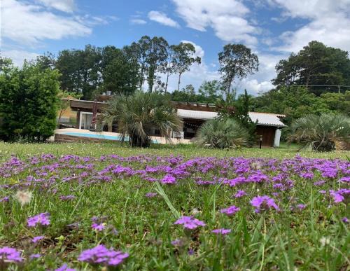 Osorio House | Casa Pamital Osório