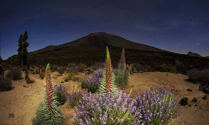 El Tanque Cottage | "CASA PAUCA" with magnificent views of Mount Teide