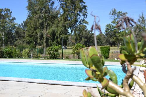 Penina Bed & Breakfast | Casa Penina