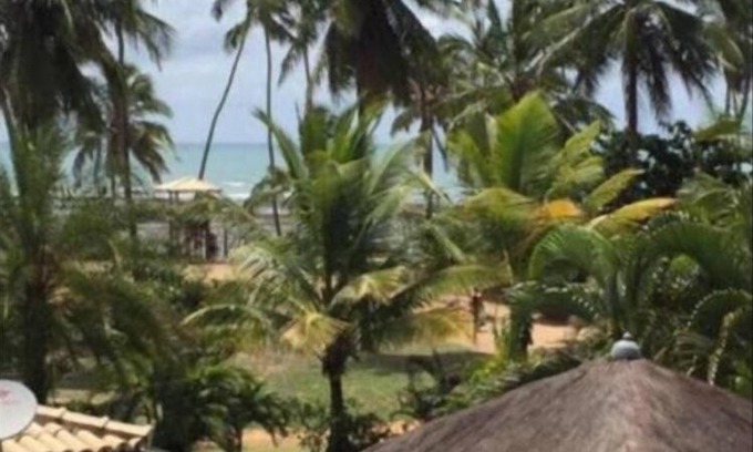 Mata de Sao Joao House | Casa Porto das Baleias, Praia do Forte, Perto do mar