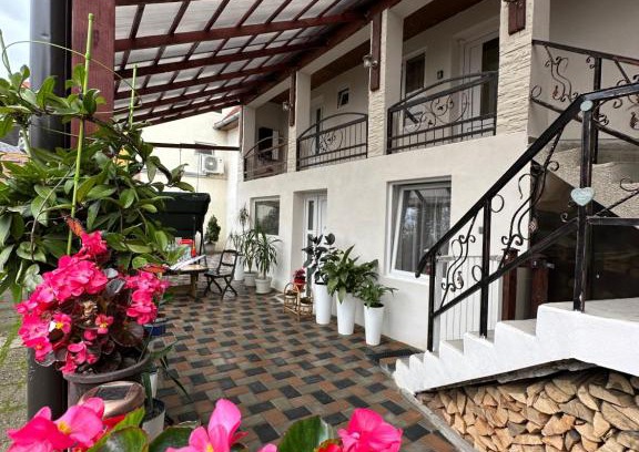 Sighisoara House | Casa RIO