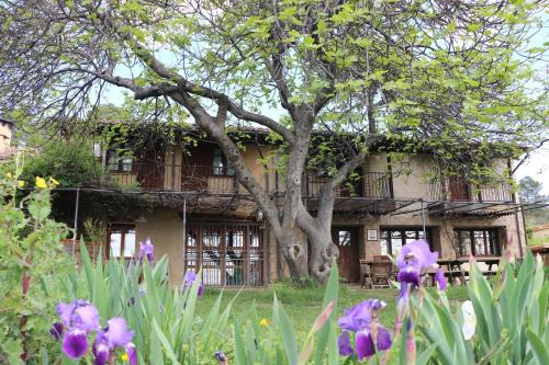 Villanueva De La Vera House | Casa Rural - Apartamentos Atuvera