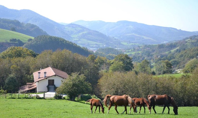 Leitza House | CASA RURAL Arriaran