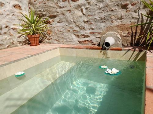 El Pedroso House | Casa Rural El Palomar