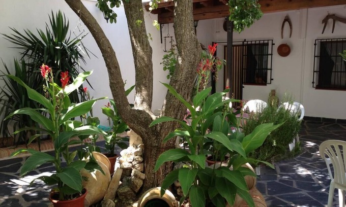 Villa de Don Fadrique House | Casa Rural el Rincon del Infante