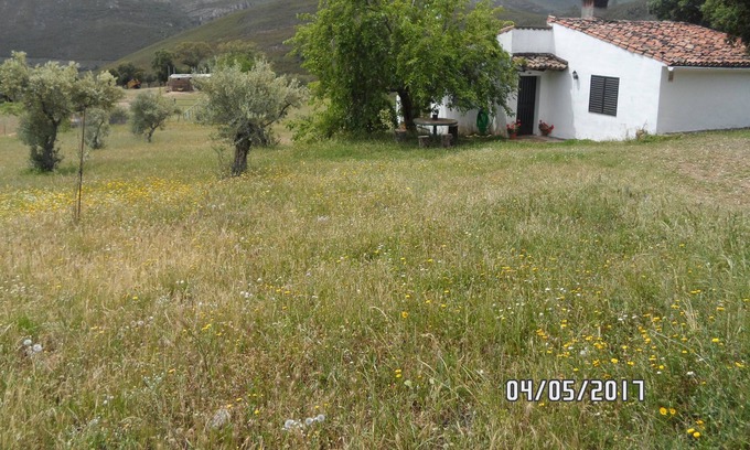 Canamero House | Casa Rural La Jara con vistas a la montaña