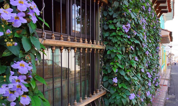 San Antonio Bed & Breakfast | Casa Ruta Sur