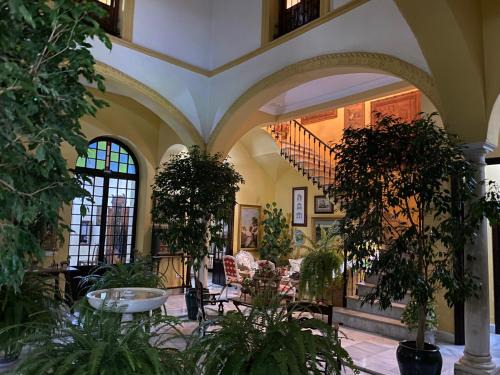 Palma del Rio House | Casa San José