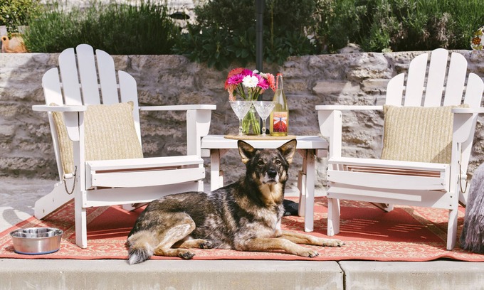 Avila Beach Cottage | Casa San Miguelito, Downtown Avila Beach│Steps from the Best Beach│Dog Friendly
