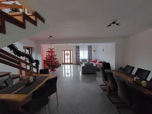 Sadova House | Casa Sandu-Sadova