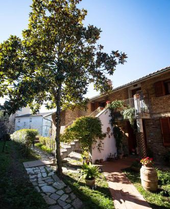Massa Marittima Apartment | Casa Serena Massa Marittima centrale con giardino Bike friendly
