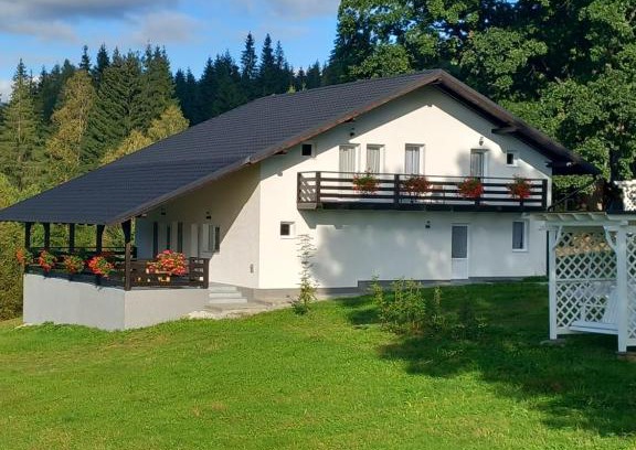 Cozanesti Villa | Casa Stejarului