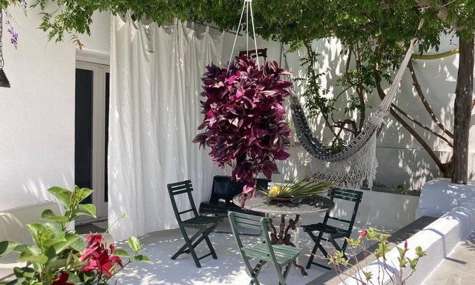 Procida House | Casa sul Mare con Giardino Sulla Suggestiva Punta Solchiaro