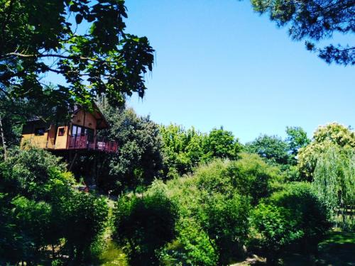 Vitellino House | Casa sull'Albero Awen del Casale LaBandita