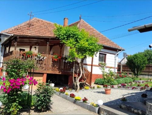 Tasnad House | Casa Teonia