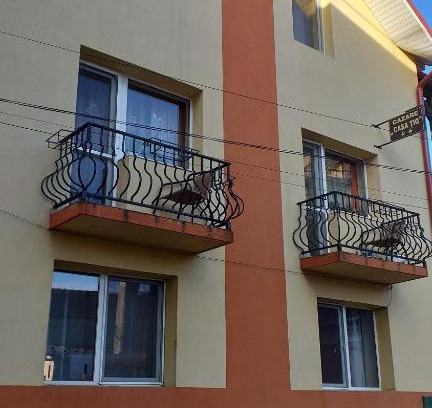 Sanmartin House | Casa Tig Băile Felix