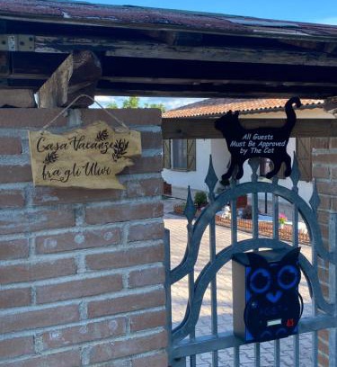 Nocera Umbra House | Casa vacanze fra gli ulivi